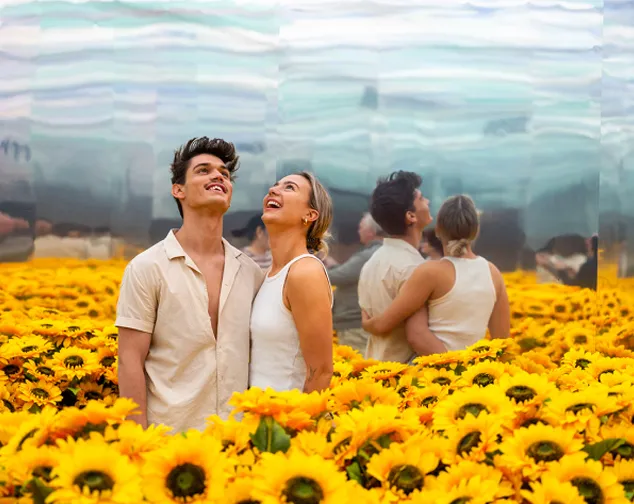 Young couple standing amidst vibrant yellow sunflowers, looking upward with smiles, reflected in a mirrored wall behind them.