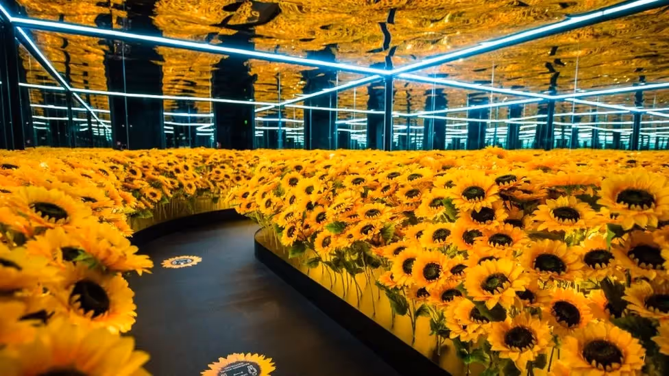 Van Gogh Alive Brighton Dome Grande Experiences