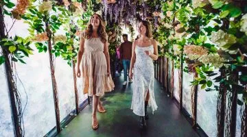 Monet and Friends Alive Grande Experiences