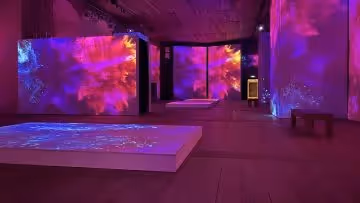 Monet & Friends Alive