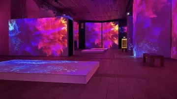 Monet & Friends Alive