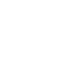 Truck Icon