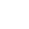 Shield icon