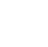 Shield icon