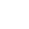 Shield icon