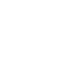 Shield icon