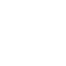 Shield icon