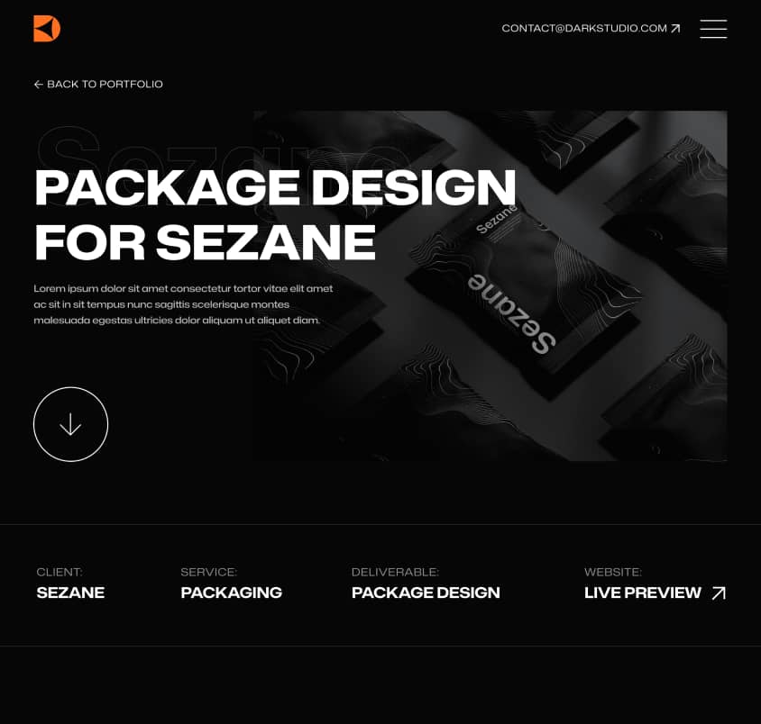 Darkstudio X - Portfolio Single Page - Branding Studio Webflow Template