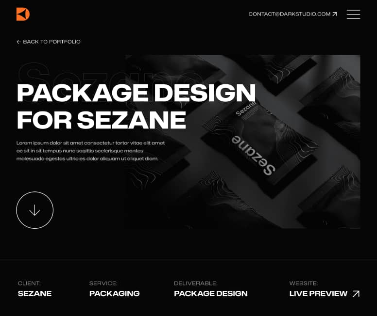 Darkstudio X - Portfolio Single Page - Branding Studio Webflow Template