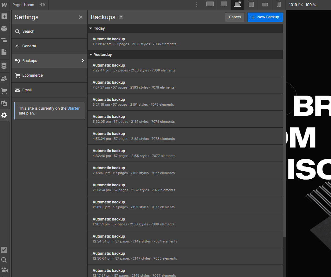 Backups - Darkstudio X Webflow Template