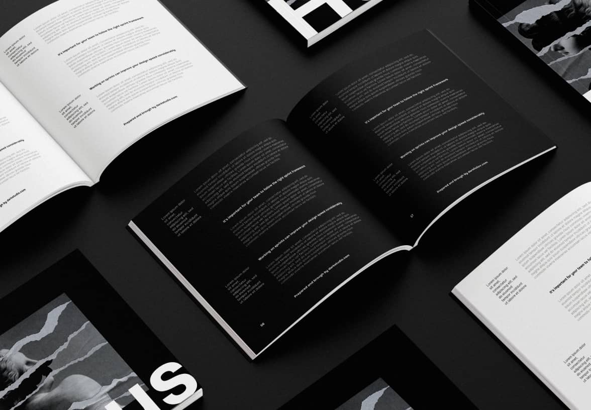 Others License Image - Darkstudio X Webflow Template