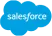 Salesforce logo in white text on a blue cloud shape.