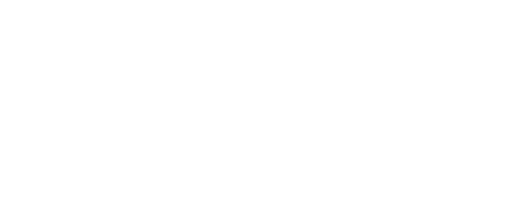 Aventis Foundation Logo