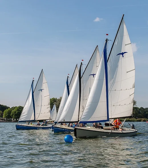 Wavie, école de voile à Rotterdam