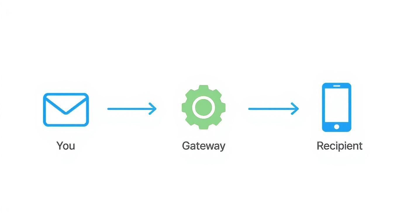 Infographic about email to sms gateway