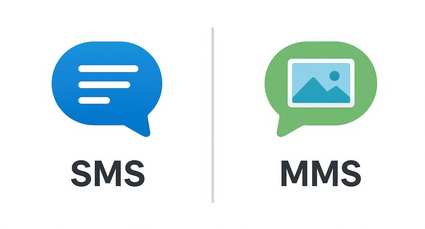 Infographic about difference between sms and mms messages