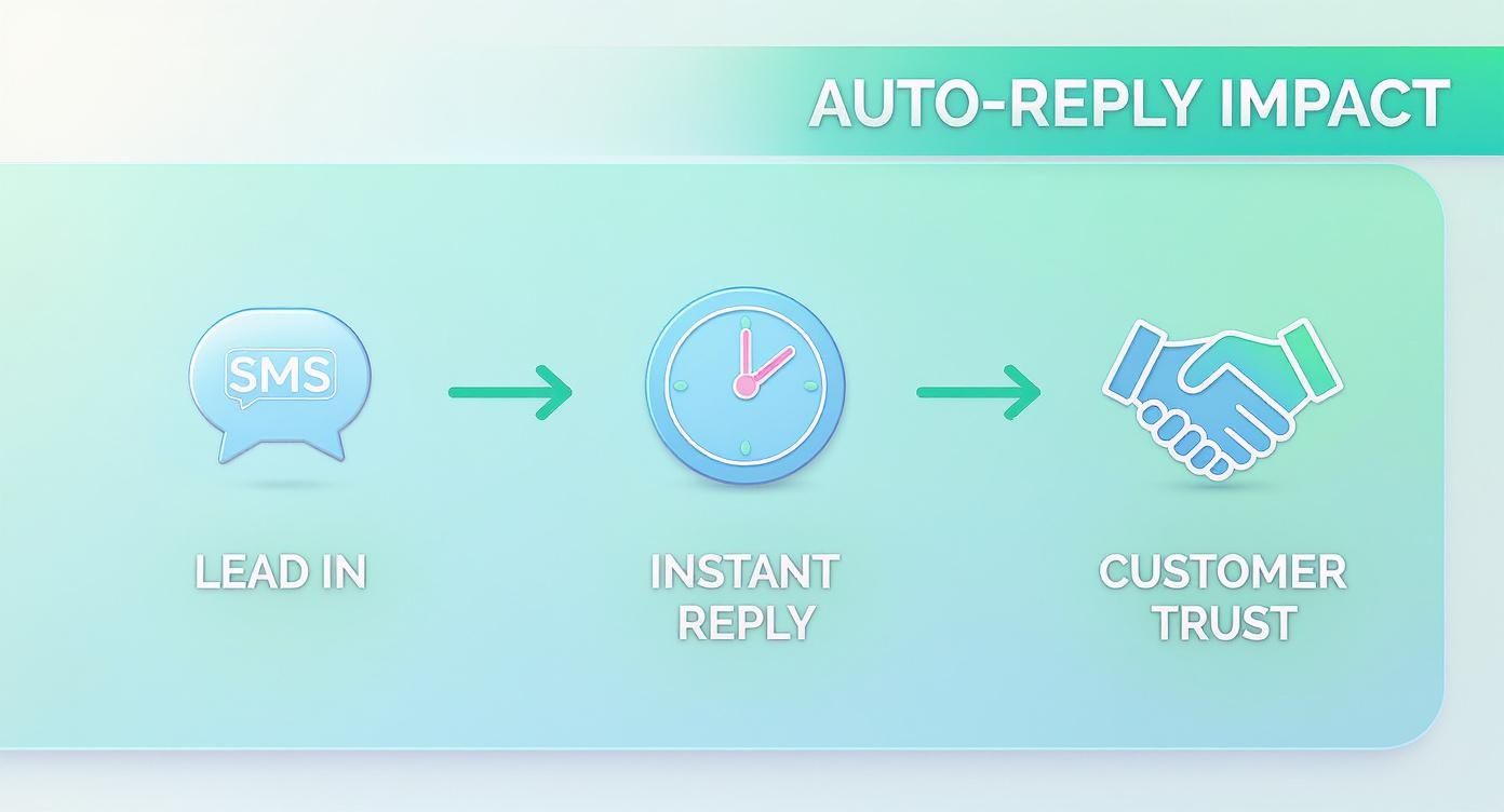 Infographic about auto sms reply