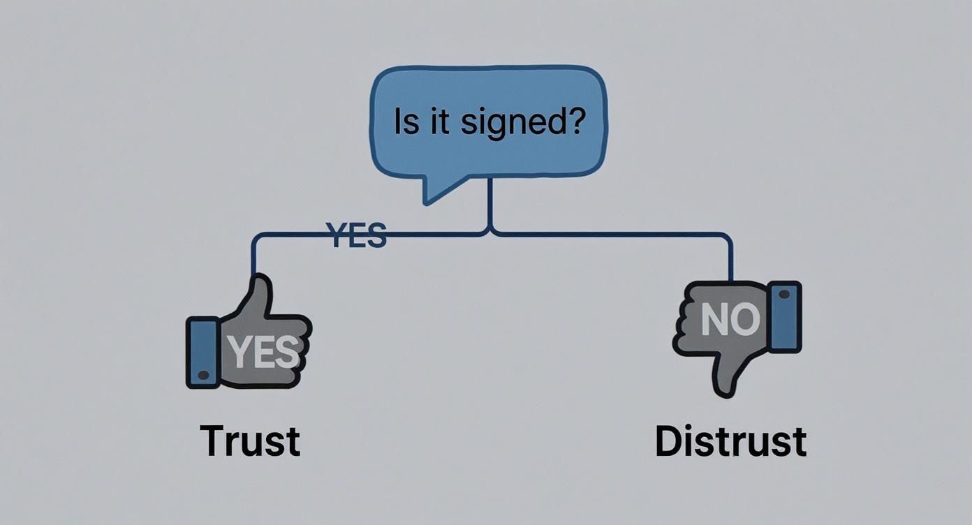 Infographic about text message signatures