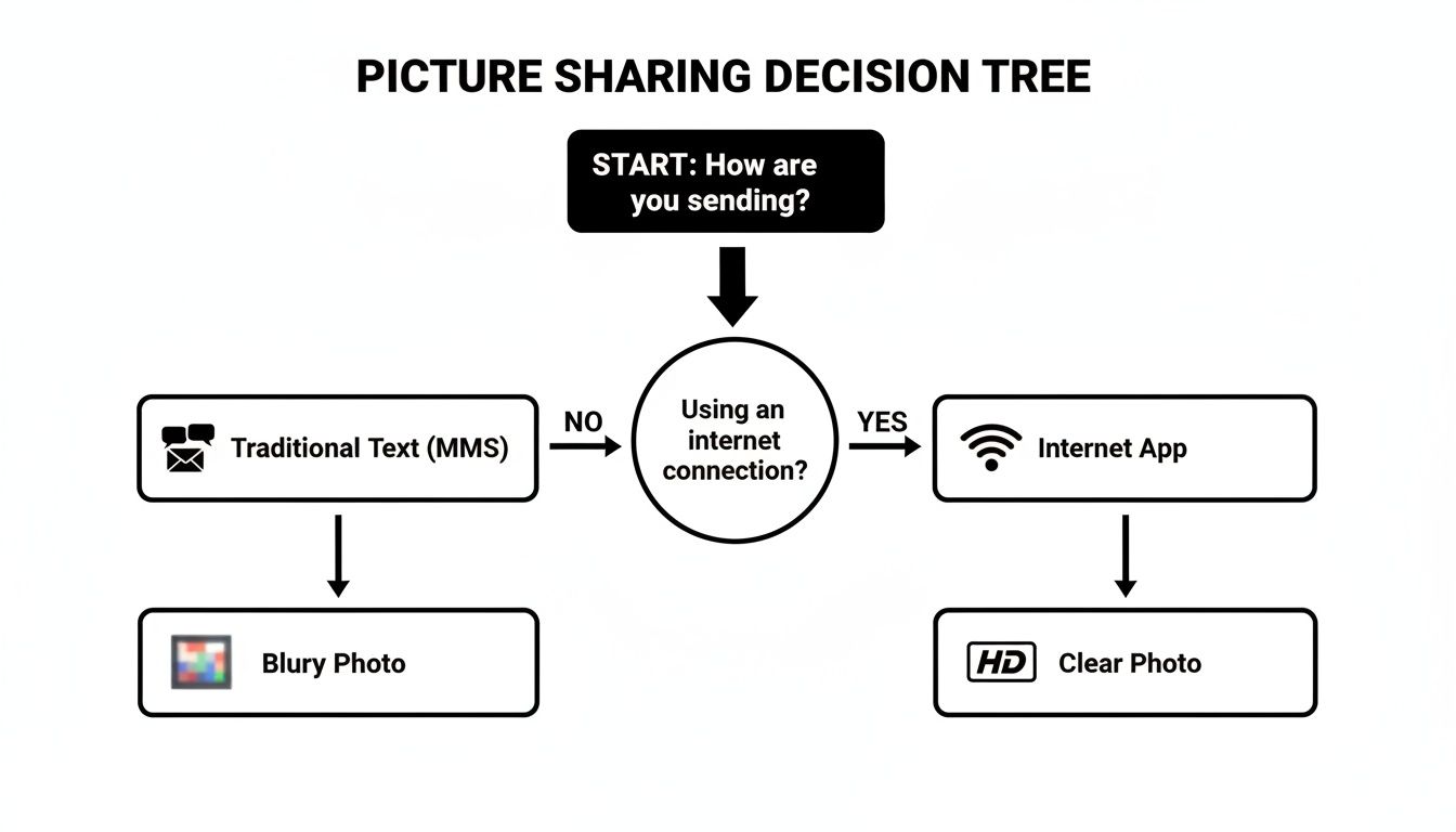 Decision tree showing picture sharing methods: MMS for blurry photos, internet apps for clear HD photos.