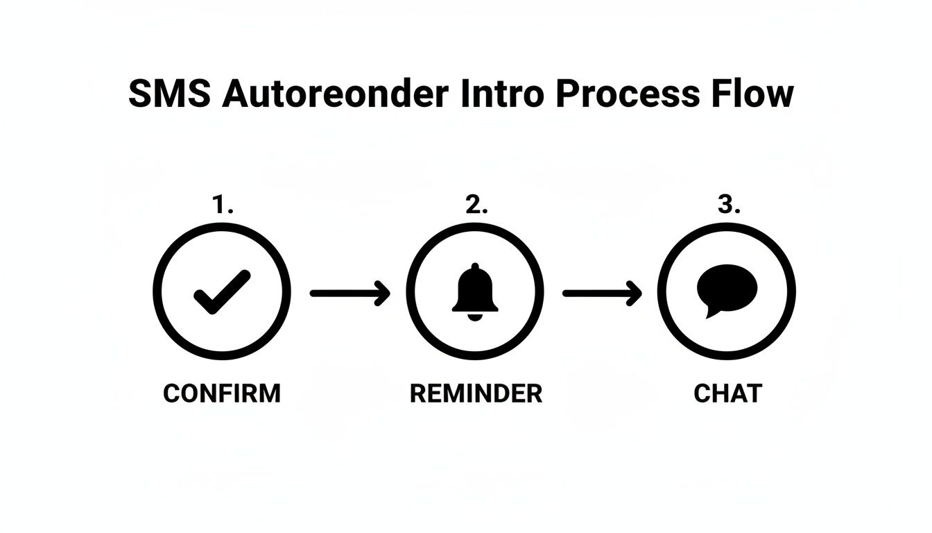 Infographic about autoresponder for text messages