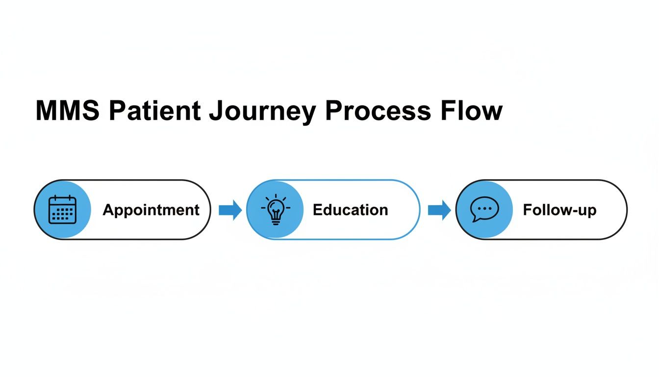 A diagram illustrating the MMS Patient Journey Process Flow with three steps: Appointment, Education, and Follow-up.