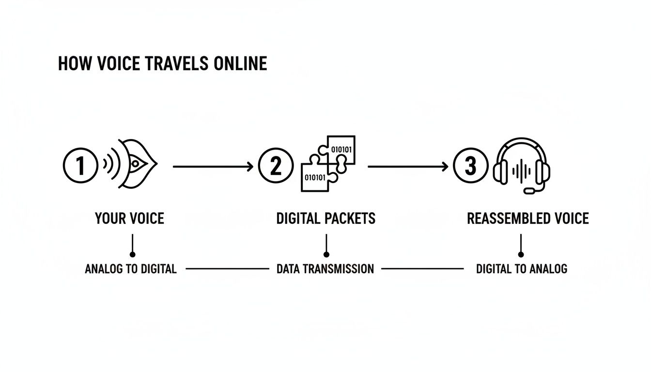 Diagram illustrating the three steps of how voice travels online, converting from analog to digital and back.