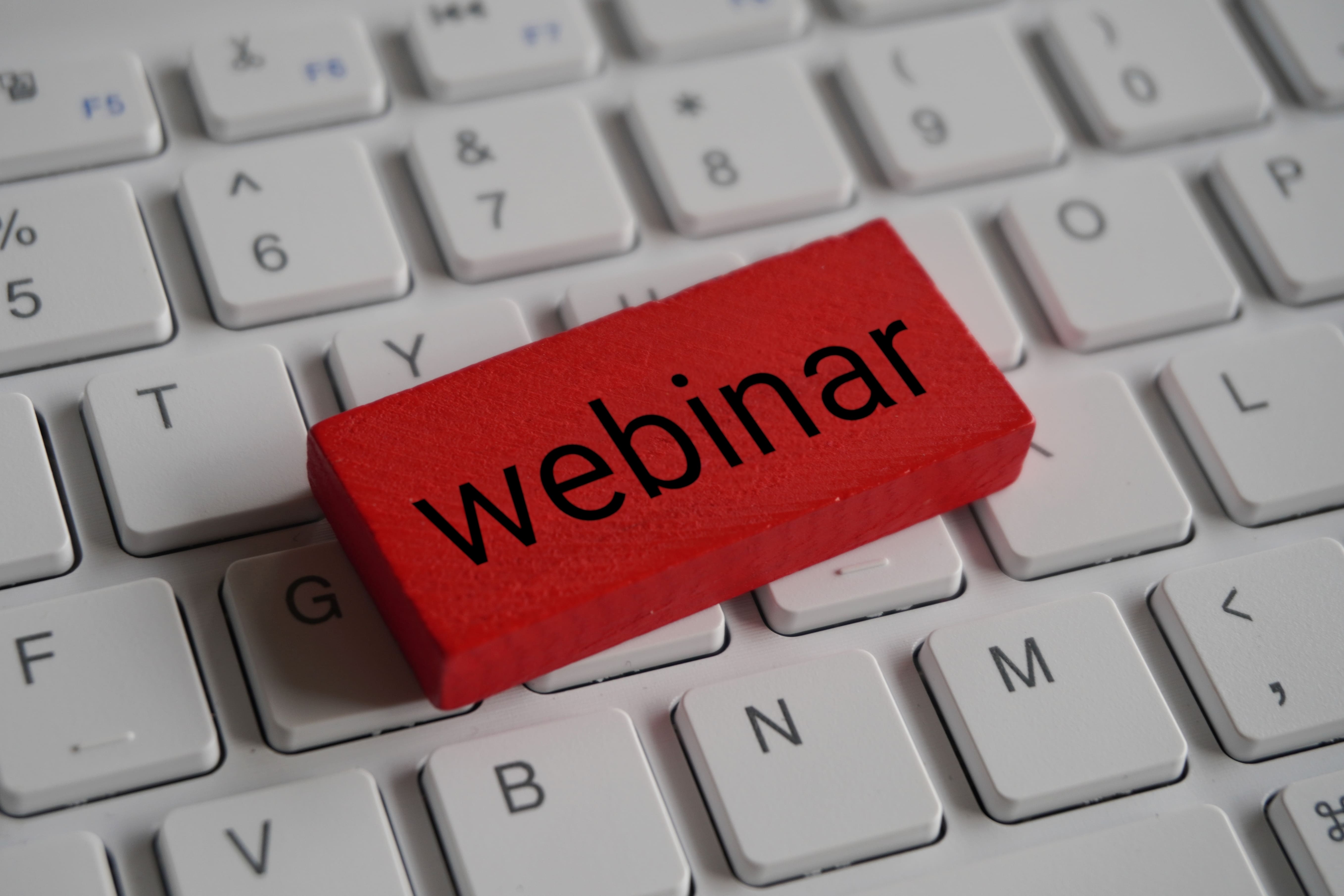 Holzblock, auf dem Webinar steht