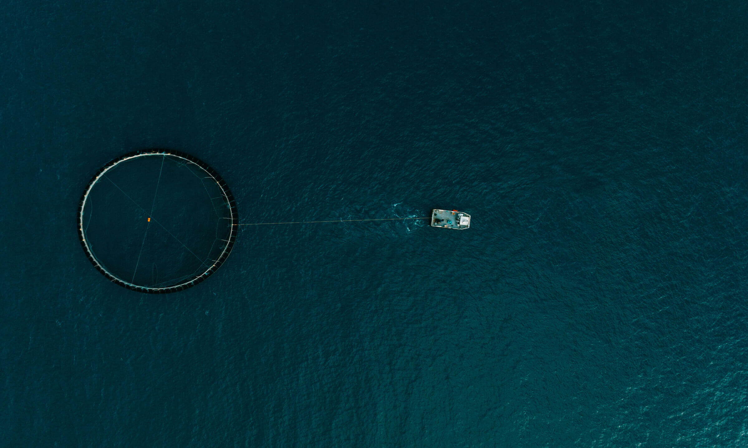 Stress-free harvesting