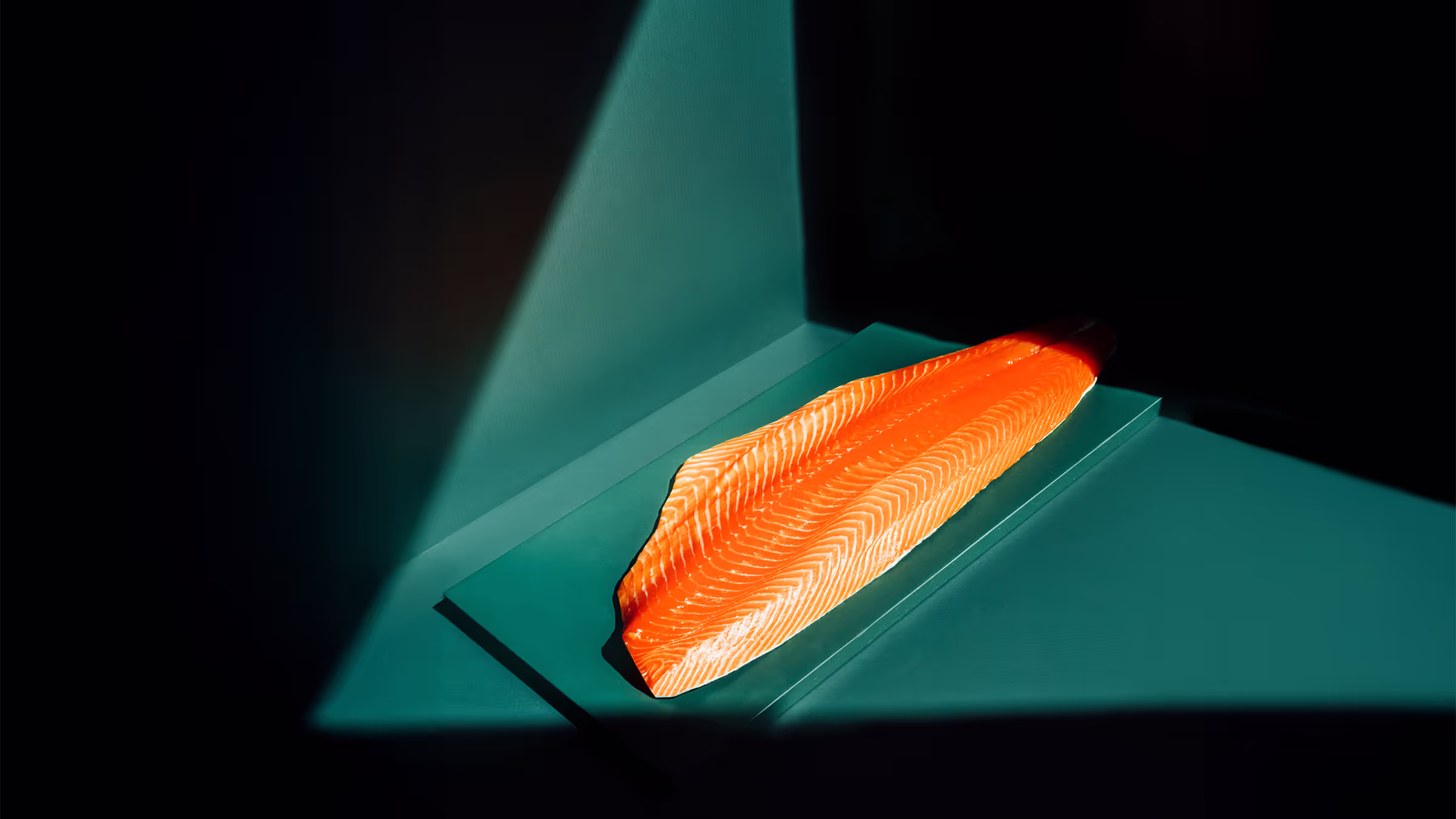 Frozen salmon fillets
