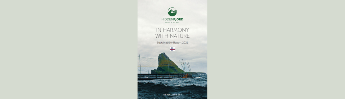 Read our Sustainability Report 2021