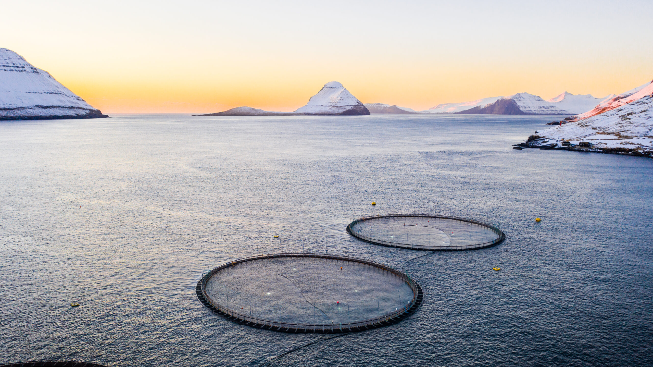 Sustainability Milestone: Hiddenfjord Saves 300,000 Tons of CO₂