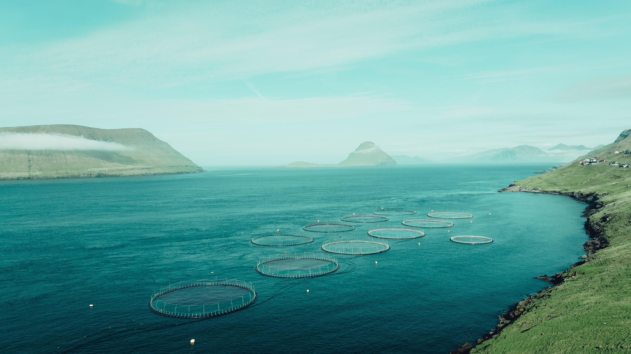 Five Years Since Hiddenfjord Stopped Using Air Freight to Transport Salmon