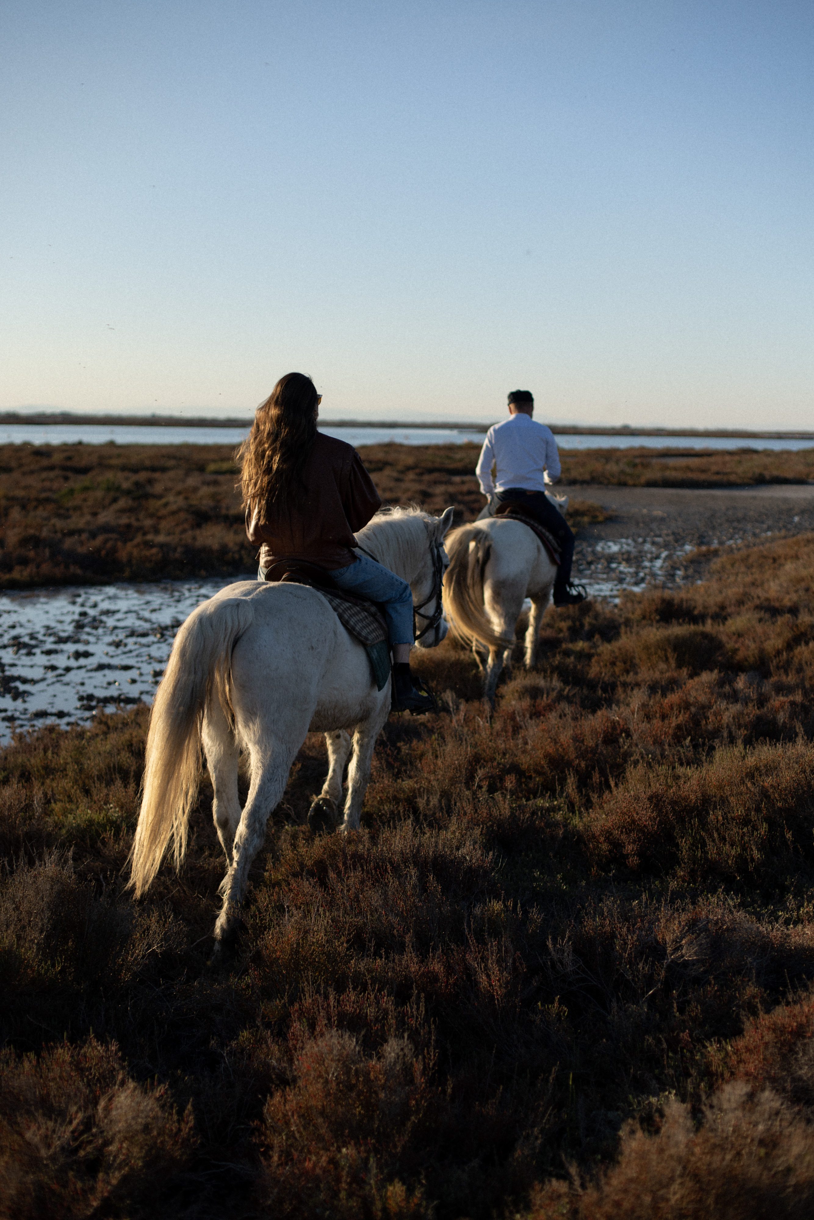 I cavalieri della Camargue in spiaggia - Les Bains Gardians