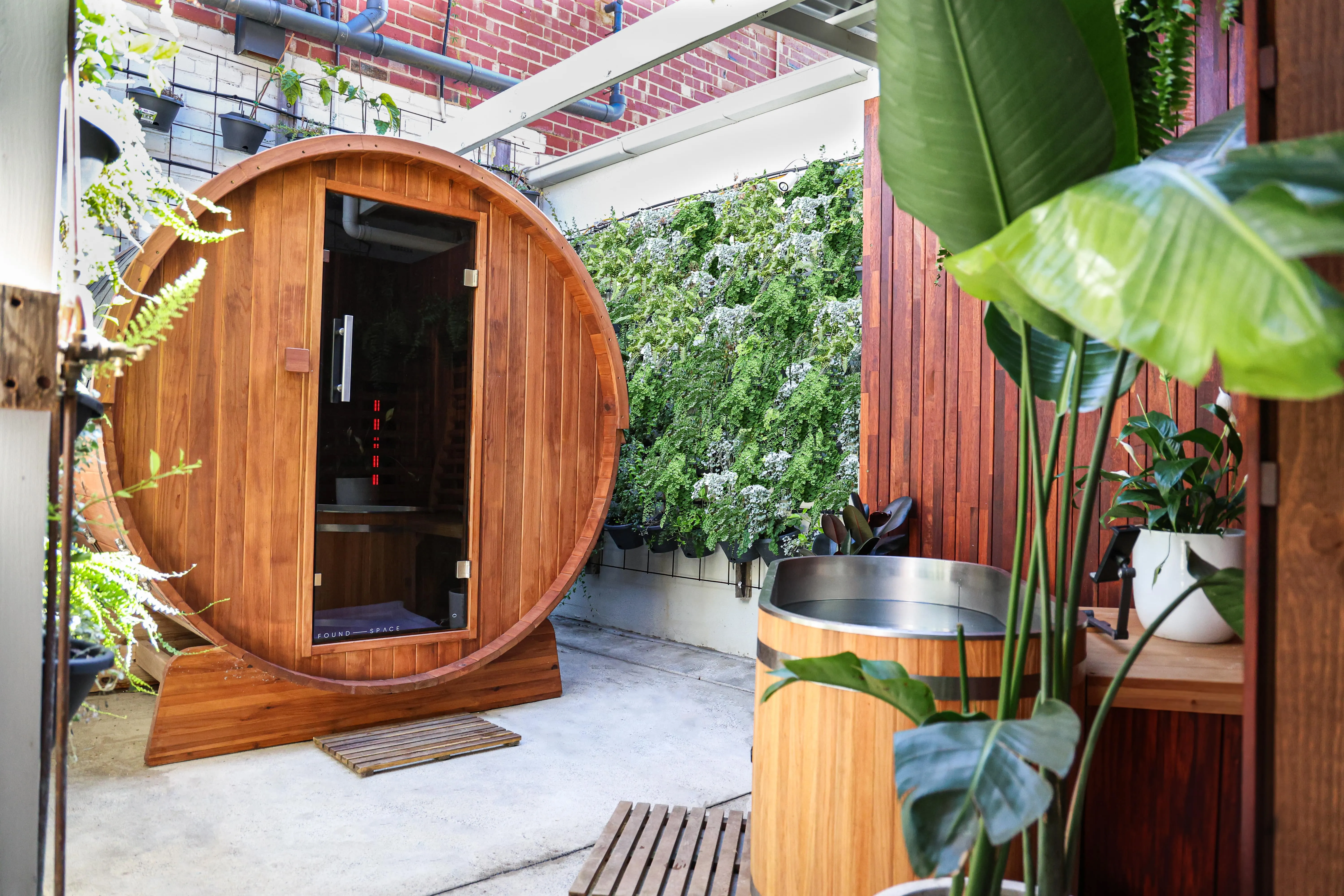 Pando Society in Elwood Melbourne