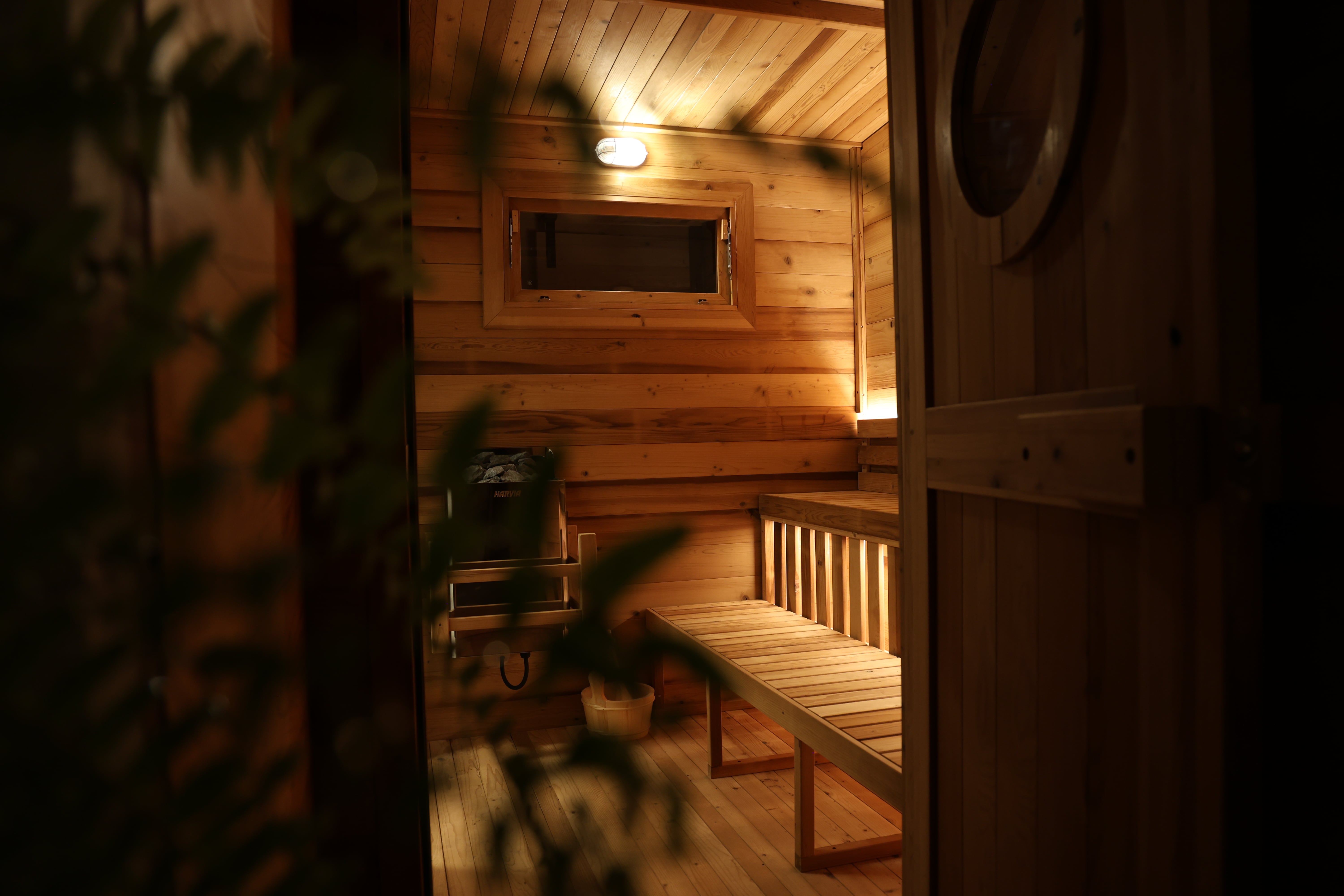 Pando Society in Elwood Melbourne