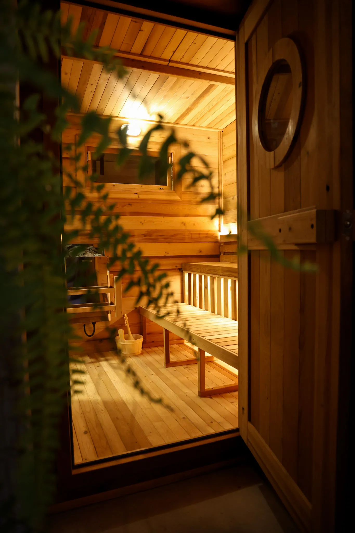 Interior of a wooden sauna with a bench, bucket, and ladle visible through an open door framed by green fern leaves.