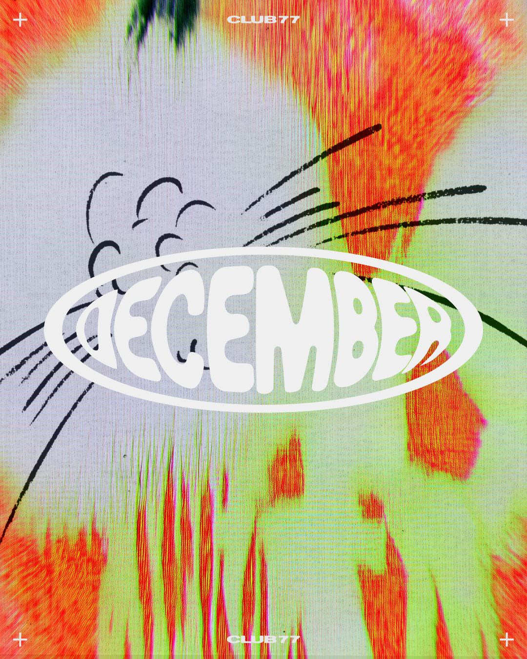 December at 77 ✦ Have we just dropped our biggest lineup of 2025?