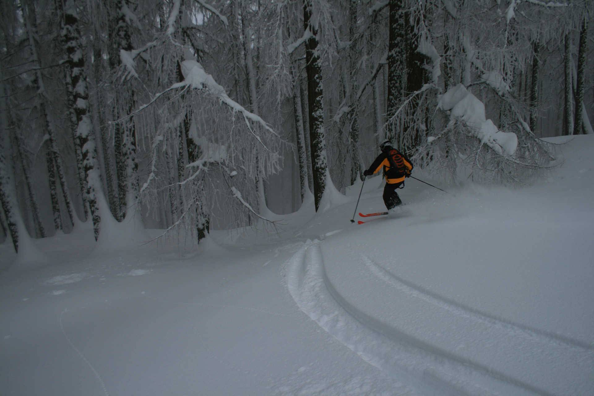 Freeride Guiding