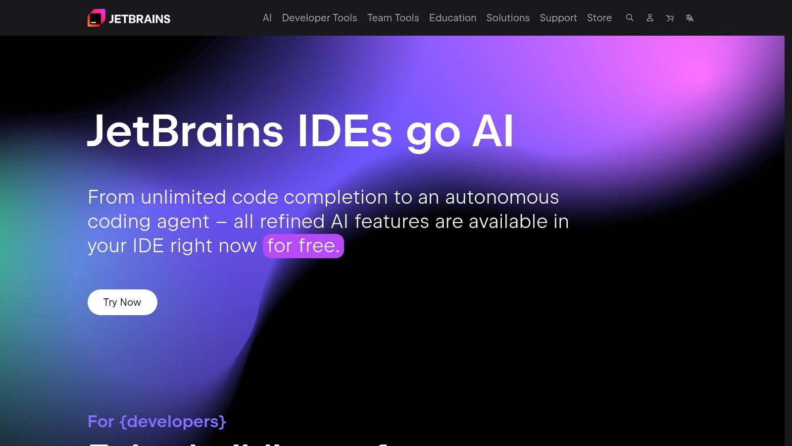 JetBrains