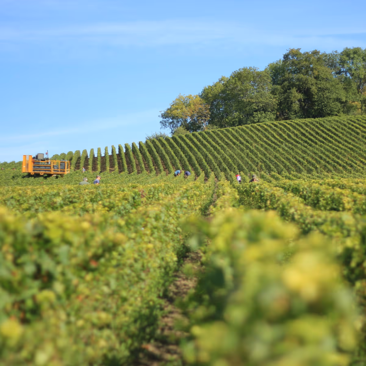 Weekend en champagne