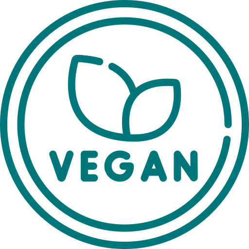 Icône de bateau-maison simplifié flottant sur l'eau.