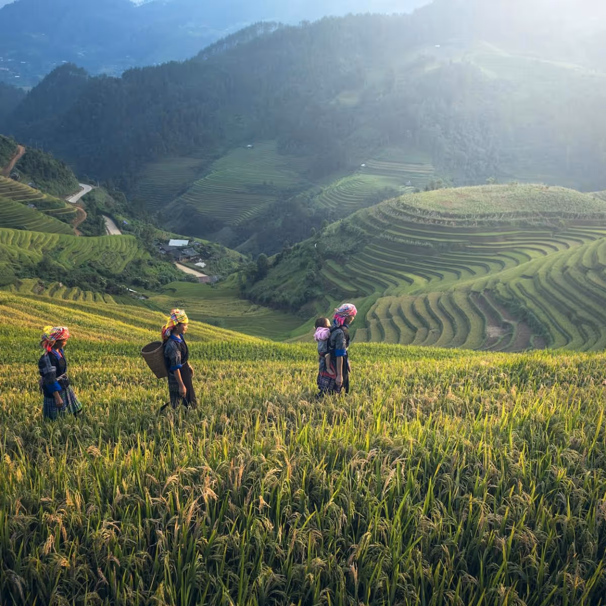 Croisiere sur le nil