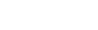 2020INC logo
