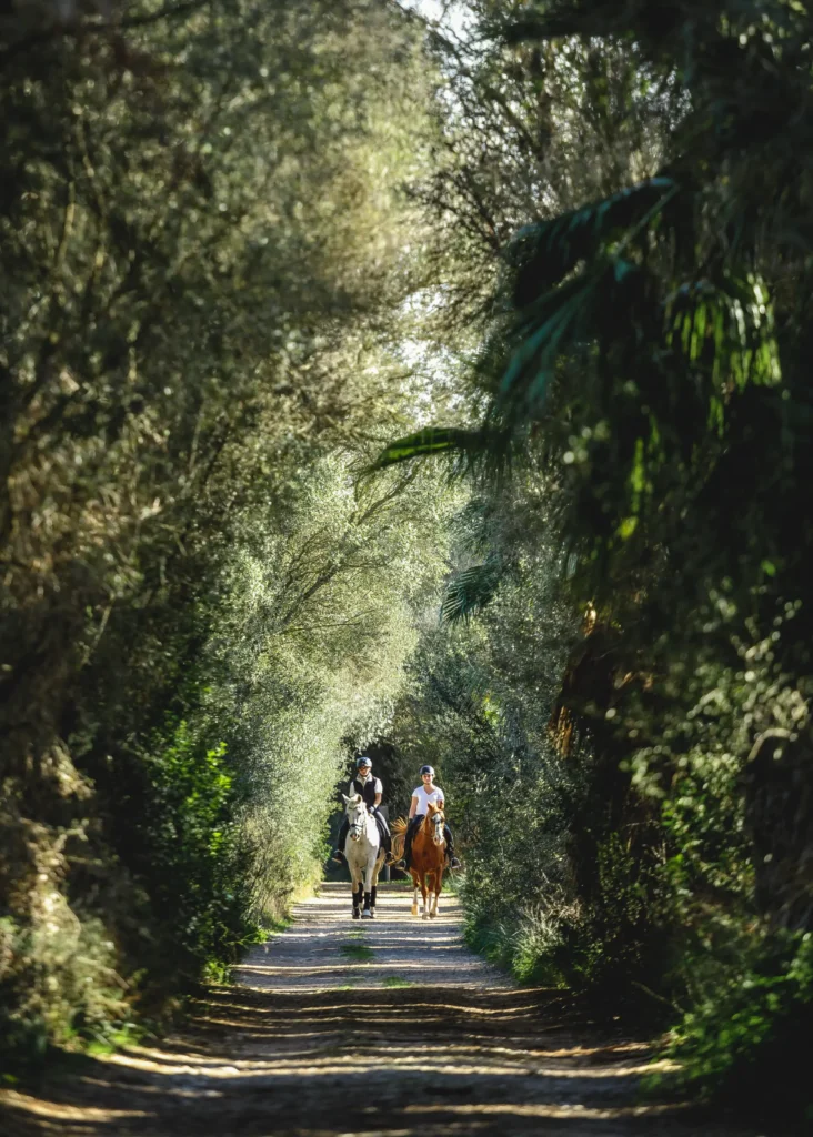 slow retreat_horse riding_sa bassa rotja