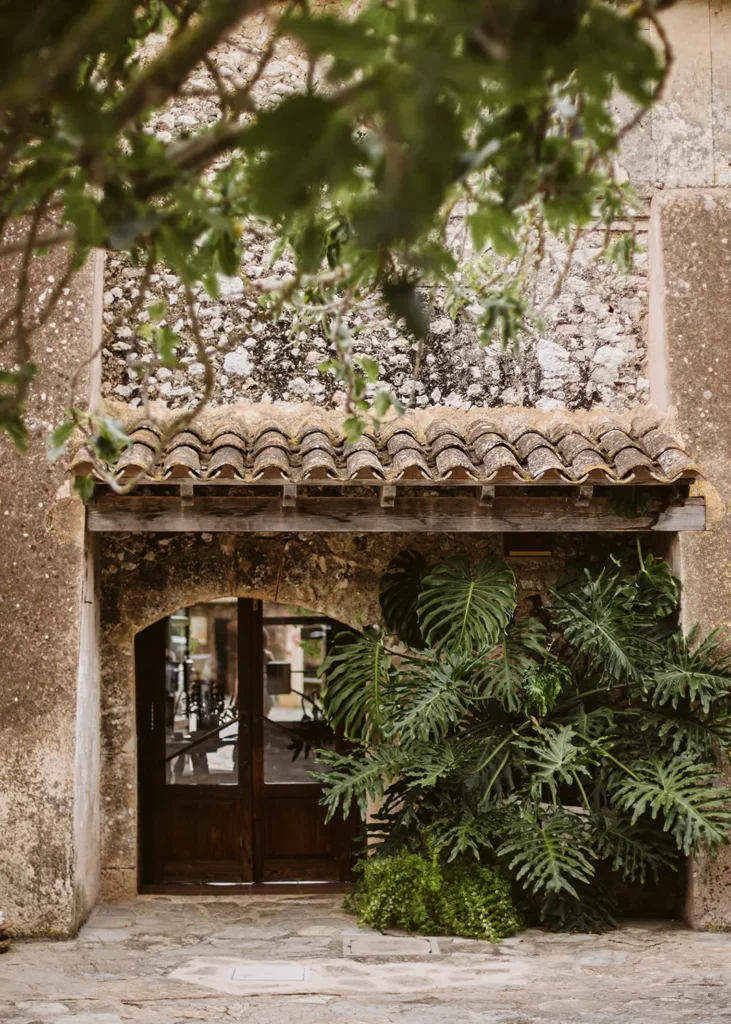 slow retreat_garden 2 sa bassa rotja