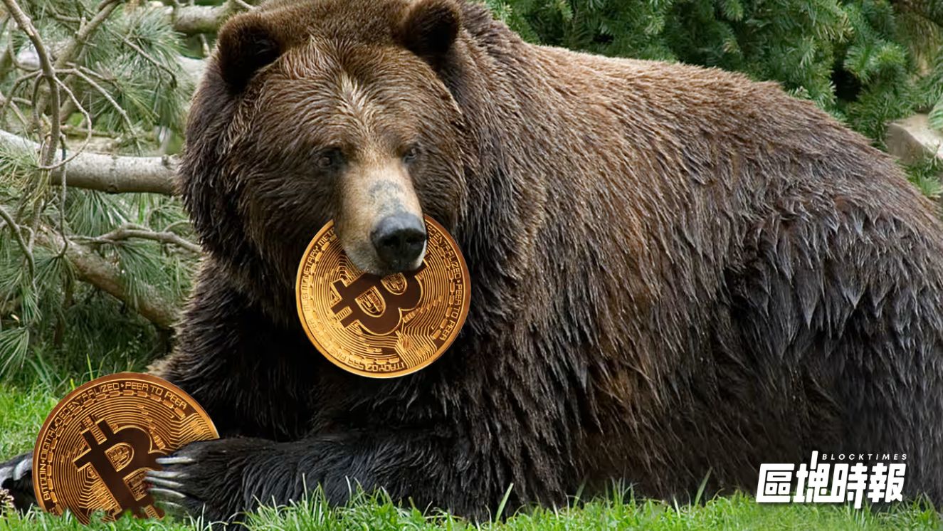 比特幣跌勢復刻歷史熊市，分析師預警「恐失守 5 萬美元」