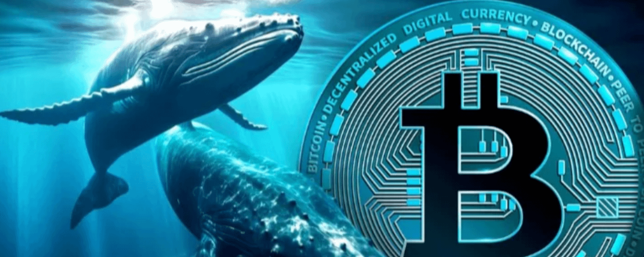 Bitcoin News Today: Bitcoin Whales Accumulate $3.17 Billion in BTC Since  April 10 as $80,000 Break Could Trigger Bull Market Signal | Binance News  on Binance Square