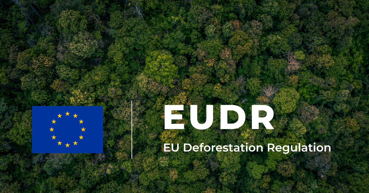 EUDR Compliance: Why Supplier Engagement Is the Real Test and How to Pass It