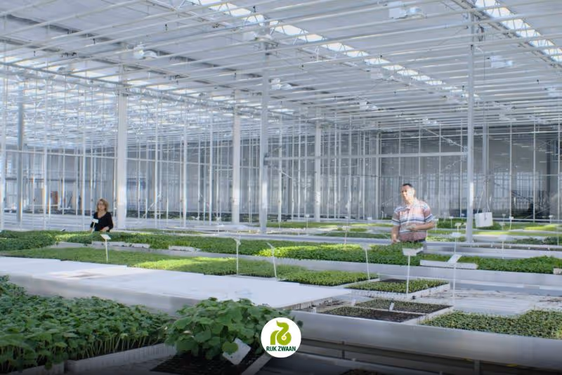 Seed production fcaility using agriware ERP software