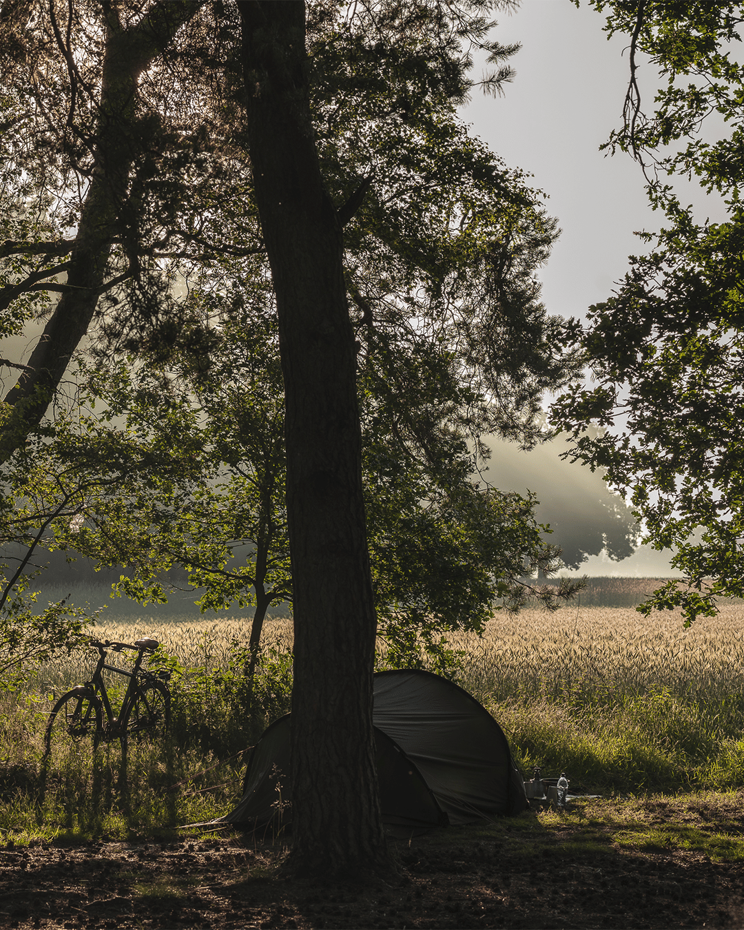 Natuurcamping Quadenoord op de Veluwe